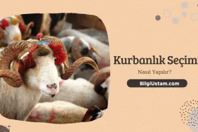 18893_kurbanlik-secimi-nasil-yapilir.png