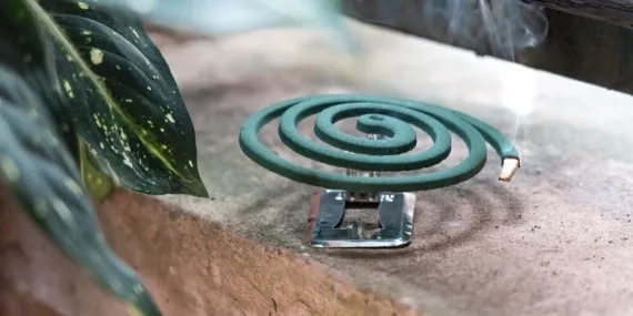 Haşere Kovucu Nedir? Kaç Çeşit Haşere Kovucu Vardır?