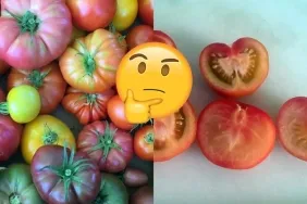 Sebze ve Meyveler Neden Eskisi Kadar Lezzetli Değil?