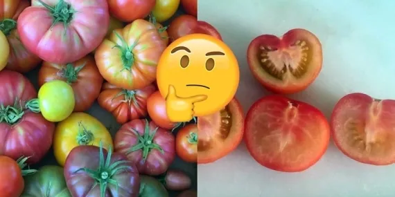 Sebze ve Meyveler Neden Eskisi Kadar Lezzetli Değil?