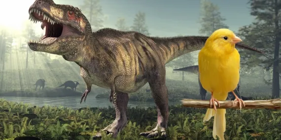 Dinozorların korkunç sesini hafızanızdan silin: Kuş sesi çıkarıyorlar! İşte yayınlanan araştırma