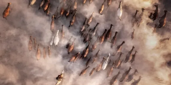 2023’ün “Yılın Etraf Fotoğrafçısı Ödülleri” Sahiplerini Buldu