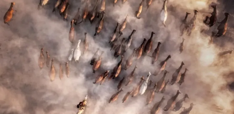 2023’ün “Yılın Etraf Fotoğrafçısı Ödülleri” Sahiplerini Buldu