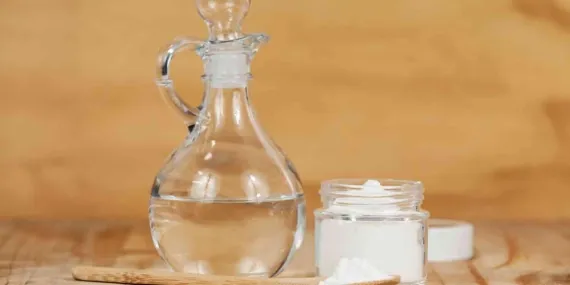 Beyaz sirkenin etkileri ve kullanımı