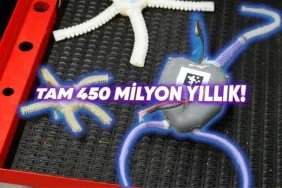 bilim-insanlari-soyu-tukenmis-450-milyon-yillik-deniz-organizmalarini-taklit-eden-bir-robot-gelistirdi-6Z8MyXyL.jpg