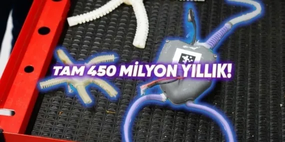 Bilim İnsanları, Soyu Tükenmiş 450 Milyon Yıllık Deniz Organizmalarını Taklit Eden Bir Robot Geliştirdi