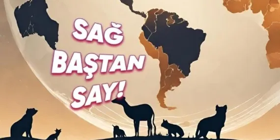 Dünya Üzerinde Şimdiye Kadar Toplamda Kaç Hayvan Çeşidi Var Oldu? (Üstelik Yarısı Tek Bir Tür!)