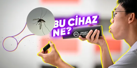 Singapur’un Her Hafta 5 Milyon Sivrisineği Tabiata Salmasının Arkasındaki Sebep Ne?