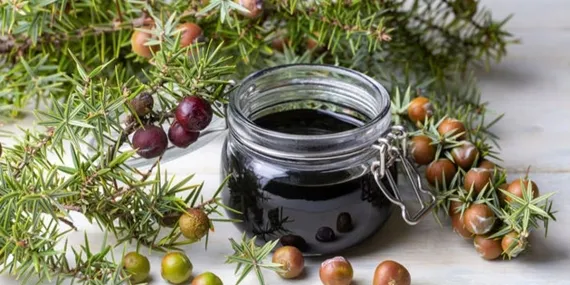 Bu pekmezin şifası saymakla bitmiyor! Bin derde deva…