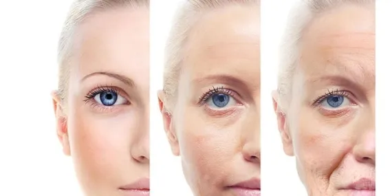 Kolajenin Vücut Bakımına Etkisi ve Kolajen Kaynağı Besinler