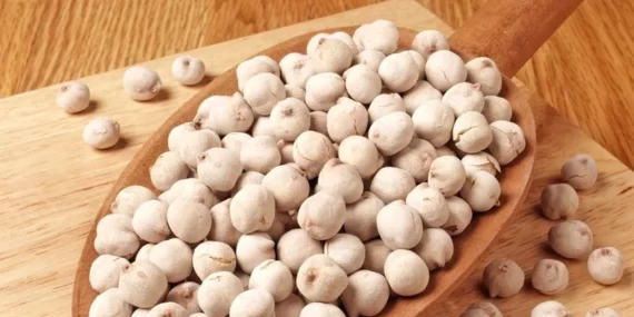 Reflü ve ülser derdiniz bitecek… Üstelik günde 1 avuç yemek et ihtiyacını da karşılıyor!