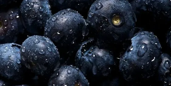 Yaban mersini: Doğanın mucizesi mor meyvenin faydaları