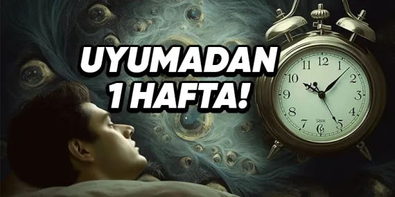 1 Hafta Boyunca Uyumazsak Başımıza Neler Gelirdi? Tüm Gerçekleriyle Anlattık!