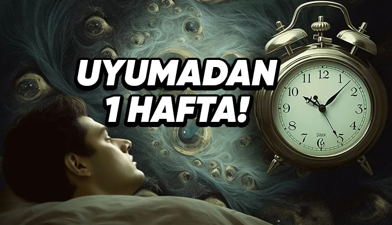 1 Hafta Boyunca Uyumazsak Başımıza Neler Gelirdi? Tüm Gerçekleriyle Anlattık!