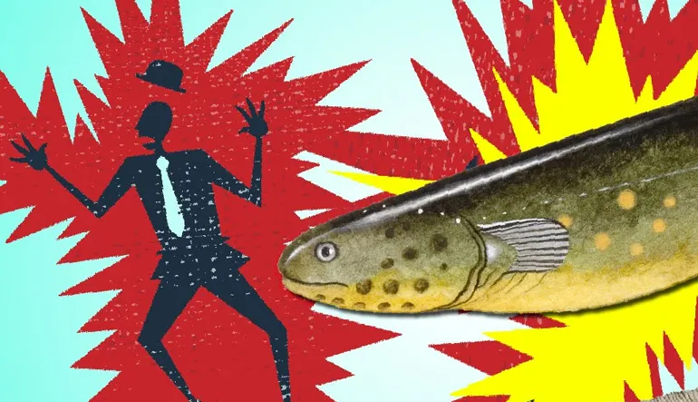 Balıkların Elektrik Ürebilmelerinin Arkasındaki Harikulade Yetenek