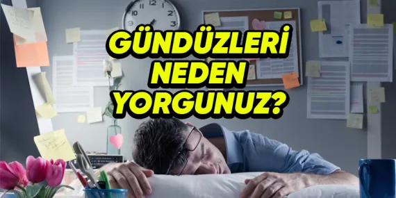 Bazen Gün İçinde Yorgun Hissederken Geceleri Neden Enerjik Oluruz?