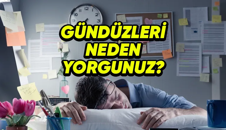 Bazen Gün İçinde Yorgun Hissederken Geceleri Neden Enerjik Oluruz?
