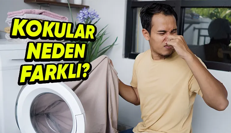 Bazı Giysiler İçinde Neden Diğerlerinden Daha Kötü Kokuyoruz? Üstelik Ter, Aynı Ter!