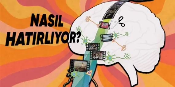 Beynimiz, Nasıl Oluyor da 25-30 Yıl Önceki Bir Anıyı Tüm Detaylarıyla Hatırlamayı Nasıl Başarıyor?