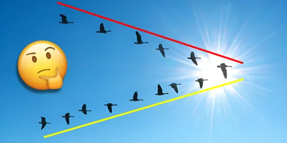 Bir Mühendis Programlamış Gibi: Kuşlar Neden Hep ‘V’ Şeklinde Uçuyor?