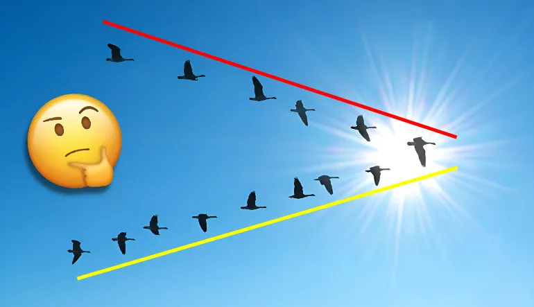 Bir Mühendis Programlamış Gibi: Kuşlar Neden Hep ‘V’ Şeklinde Uçuyor?
