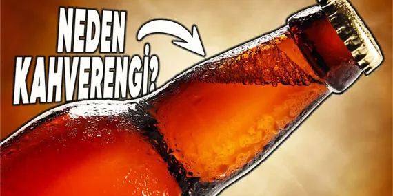 Bira Şişeleri Neden Kahverengi ve Yeşil Gibi Koyu Renklerde Yapılır?