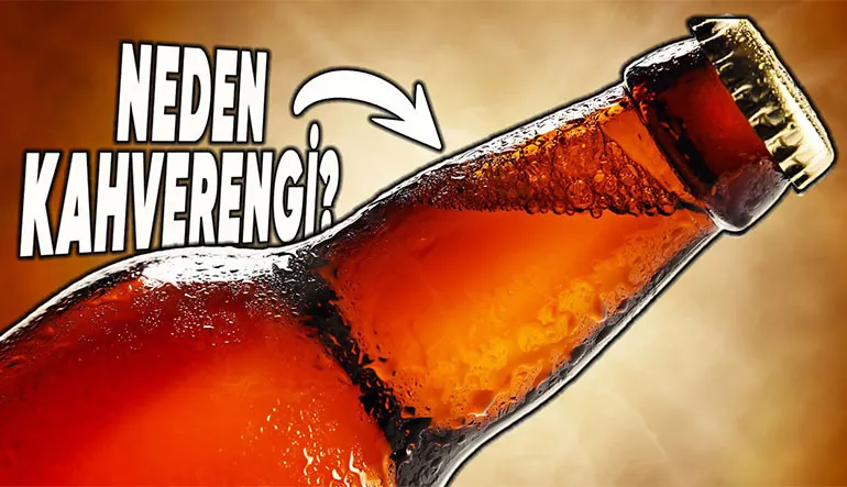 Bira Şişeleri Neden Kahverengi ve Yeşil Gibi Koyu Renklerde Yapılır?