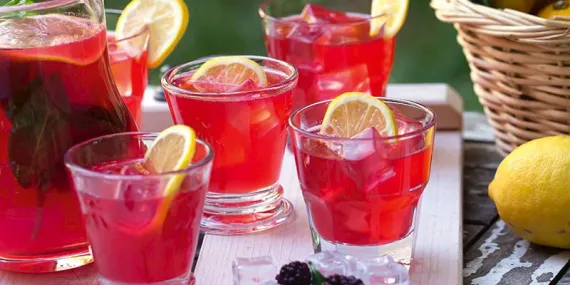 BÖĞÜRTLENLİ LİMONATA