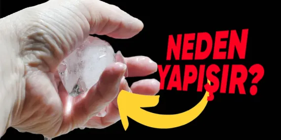 Buz, Parmaklarımıza Neden Sanki Hiç Ayrılmayacakmış Gibi Yapışır?