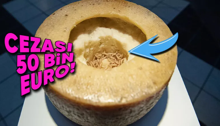 Casu Marzu Peynirinin Satışı Neden Yasak ve Dünyanın En Tehlikeli Peyniri Olarak Nam Salıyor?