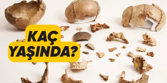 Dünyada Şimdiye Kadar Keşfedilen En Eski DNA Kanıtı Kaç Yaşındaydı?