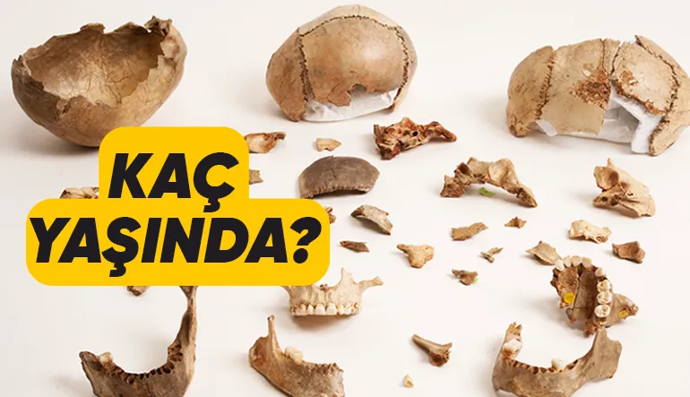 Dünyada Şimdiye Kadar Keşfedilen En Eski DNA Kanıtı Kaç Yaşındaydı?