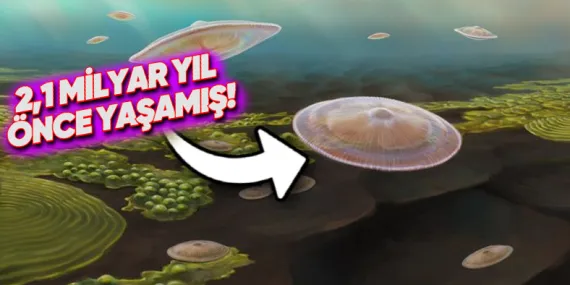 Dünya’daki Yaşamın Bilinenden 1,5 Milyar Yıl Daha Önce Başlamış Olabileceği Keşfedildi