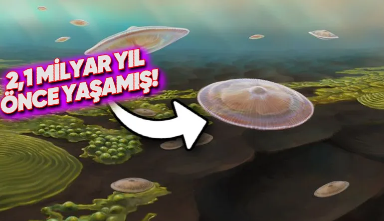 Dünya’daki Yaşamın Bilinenden 1,5 Milyar Yıl Daha Önce Başlamış Olabileceği Keşfedildi