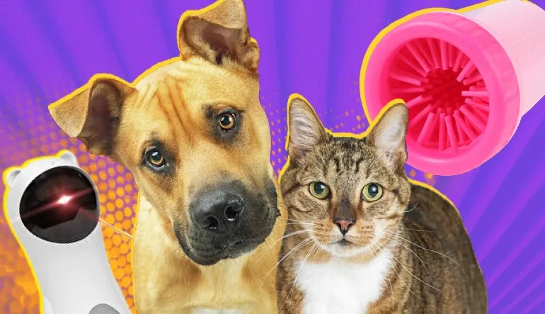 Evcil Hayvan Sahiplerinin Hayatını Kolaylaştıracak Eserler