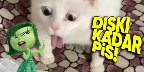 Evinizde En Çok Bakterinin Nerede Olduğunu Öğrenince O Nesneyi Anında Çöpe Atmak İsteyeceksiniz!