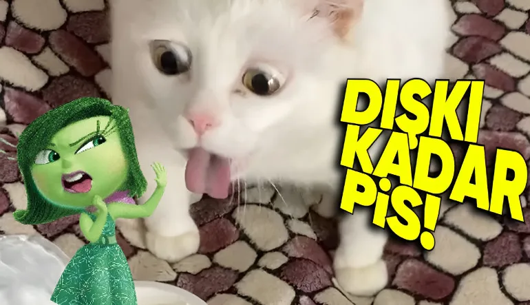 Evinizde En Çok Bakterinin Nerede Olduğunu Öğrenince O Nesneyi Anında Çöpe Atmak İsteyeceksiniz!