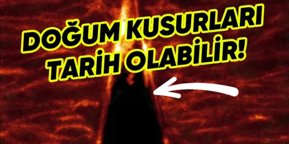 Fetüs Gelişimi, İlk Kez Anlık ve Yüksek Çözünürlüklü Olarak Takip Edildi