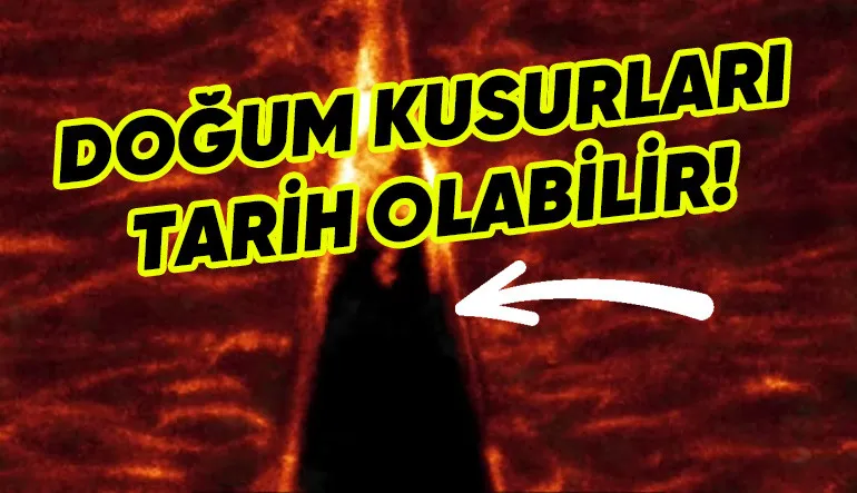 Fetüs Gelişimi, İlk Kez Anlık ve Yüksek Çözünürlüklü Olarak Takip Edildi