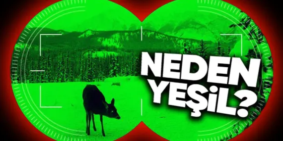 Gece Görüş Kameralarının Neden Çoğunlukla Yeşil Olduğunu Öğrenince “Çok Mantıklıymış!” Diyeceksiniz