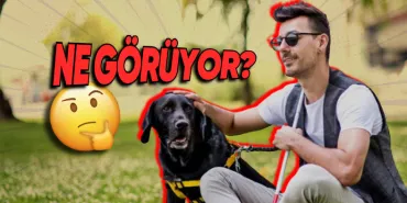 gorme-engelliler-dunyayi-nasil-goruyor-hayir-simsiyah-degil-8BNVCKAR.jpg
