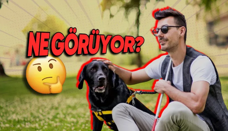 Görme Engelliler Dünyayı Nasıl Görüyor? Hayır, Simsiyah Değil!