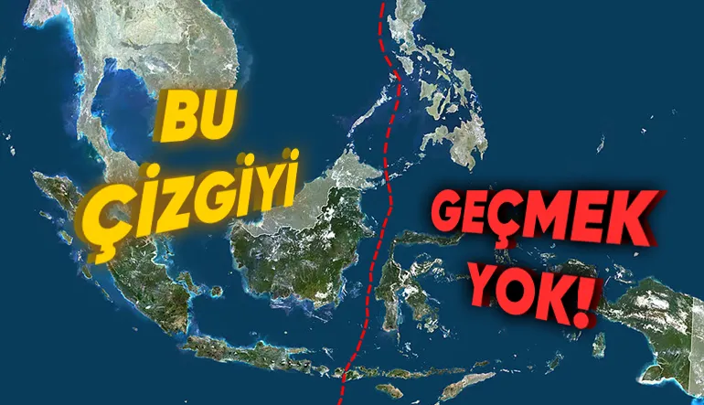 Görünmez Bariyer: Neden Pek Çok Hayvan Wallace Hattı’ndaki Bu Görünmez Çizgiyi Geçemez?