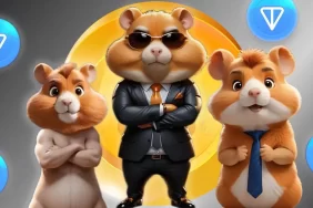 hamster-kombat-oyuncularini-korkutan-haber-geldi-LGzqpRFq.webp