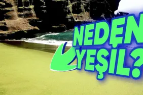 hawaiideki-yesil-kumlu-plaj-neden-dunyada-benzersiz-yesilin-sirri-nereden-geliyor-FaPDw7EJ.jpg