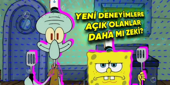 Hep Aynı Yere Gitmekten, Aynı Filmi İzlemekten Hoşlanıyorsanız Bu İçeriği Okumanızda Fayda Var: Bu Durum Bilime Göre Zekâ ile İlişkili!