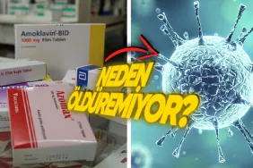 her-hasta-oldugunda-antibiyotiklere-kosanlar-buraya-virusler-neden-antibiyotiklerden-etkilenmez-XwQaKnaz.png