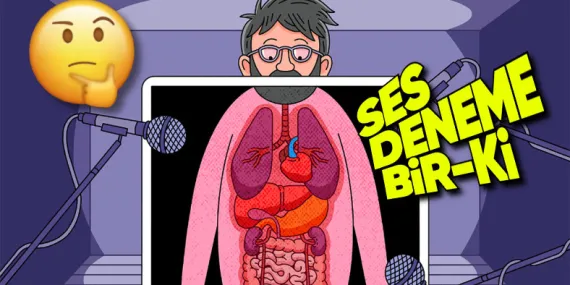 İç Organlarımız Bize Bu Kadar Yakın Olmasına Rağmen Neden Çalışma Seslerini Duyamıyoruz?