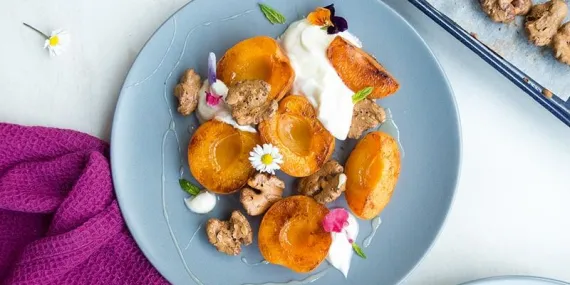 Ilık kayısılar, ballı süzme yoğurt ile