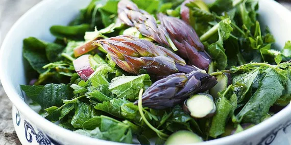 ISIRGAN OTLU KUŞKONMAZ SALATASI